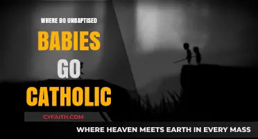Unbaptized Babies in Catholic Theology: Exploring the Afterlife Debate