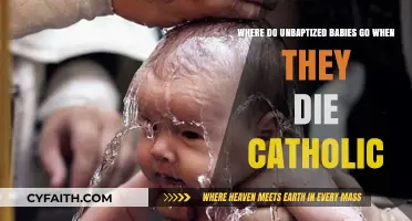 Unbaptized Infants in Catholic Theology: Exploring Their Eternal Destiny