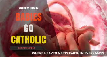 Where Do Unborn Babies Go in Catholic Theology?
