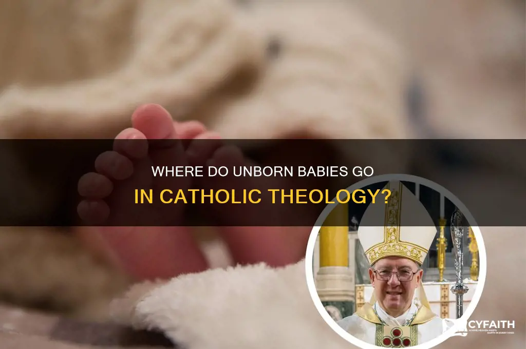 where do unborn babies go catholic
