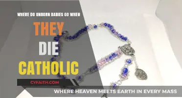 Catholic Perspective: The Fate of Unborn Babies Who Pass Away