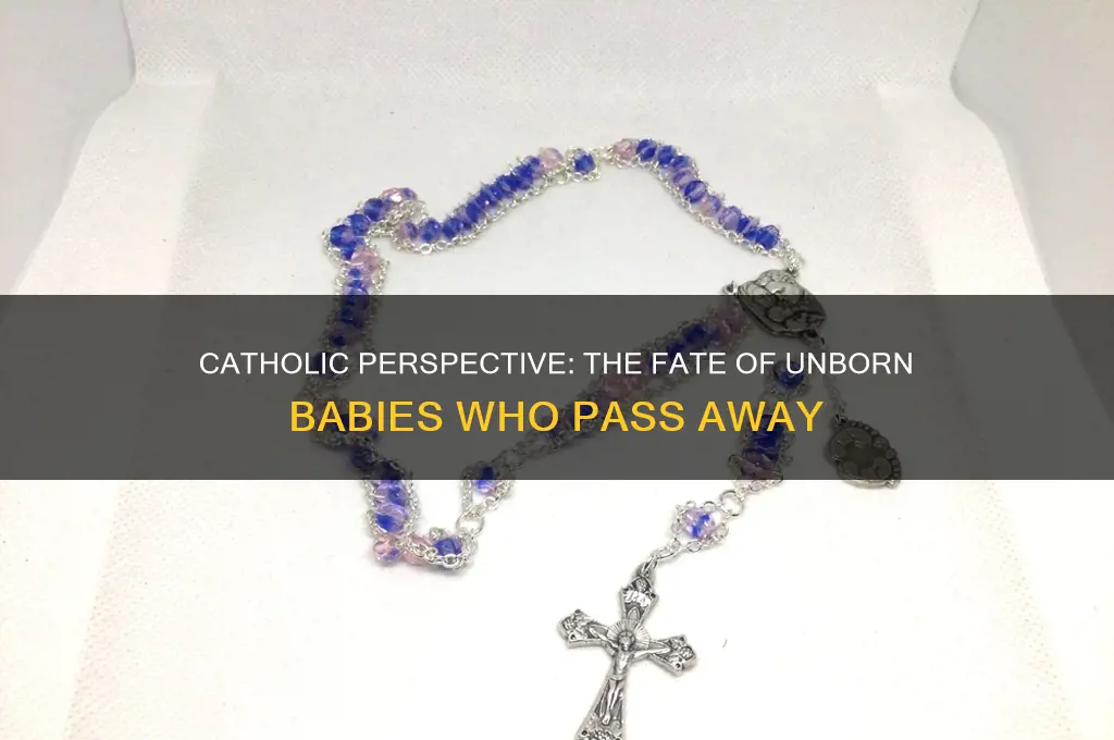 where do unborn babies go when they die catholic