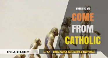 Exploring Our Origins: A Catholic Perspective on Human Existence