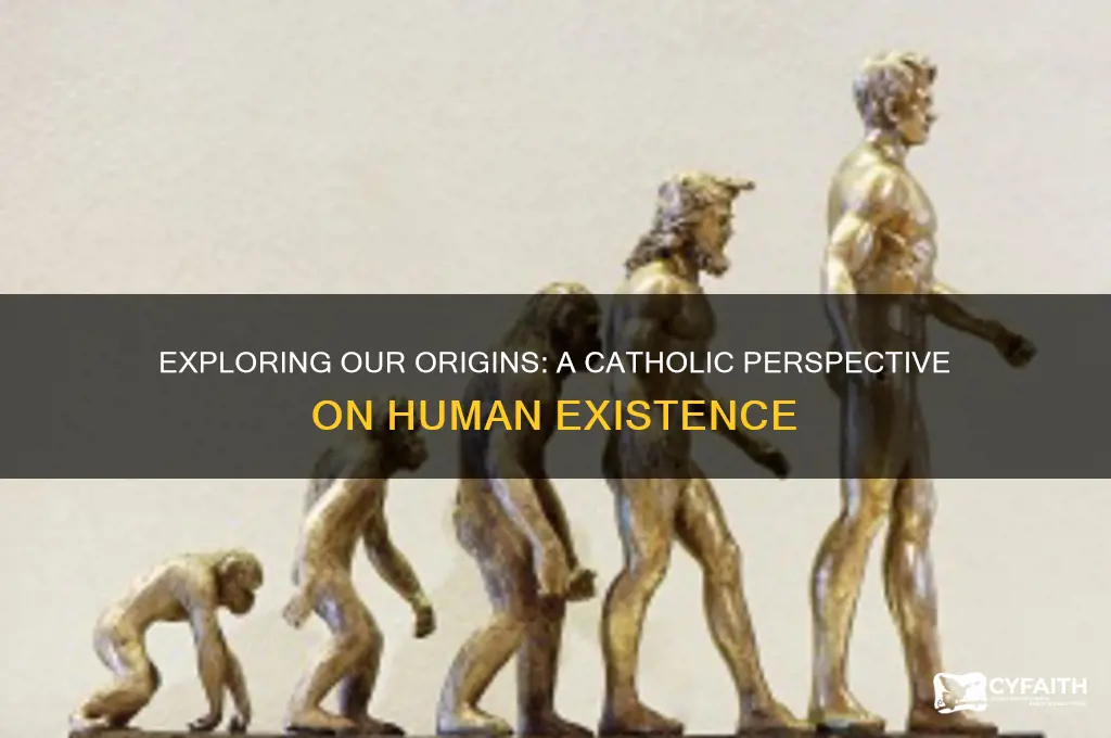 where do we come from catholic