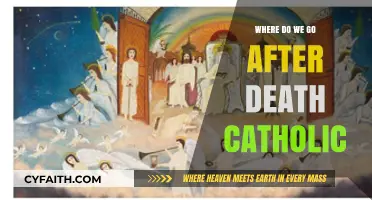 Catholic Teachings on Life After Death: Heaven, Hell, and Purgatory Explained