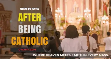 Beyond Catholicism: Exploring Faith, Identity, and Spiritual Paths Forward