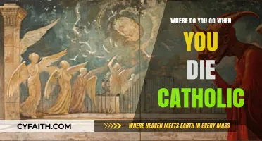 Catholic Teachings on the Afterlife: Where Do We Go When We Die?