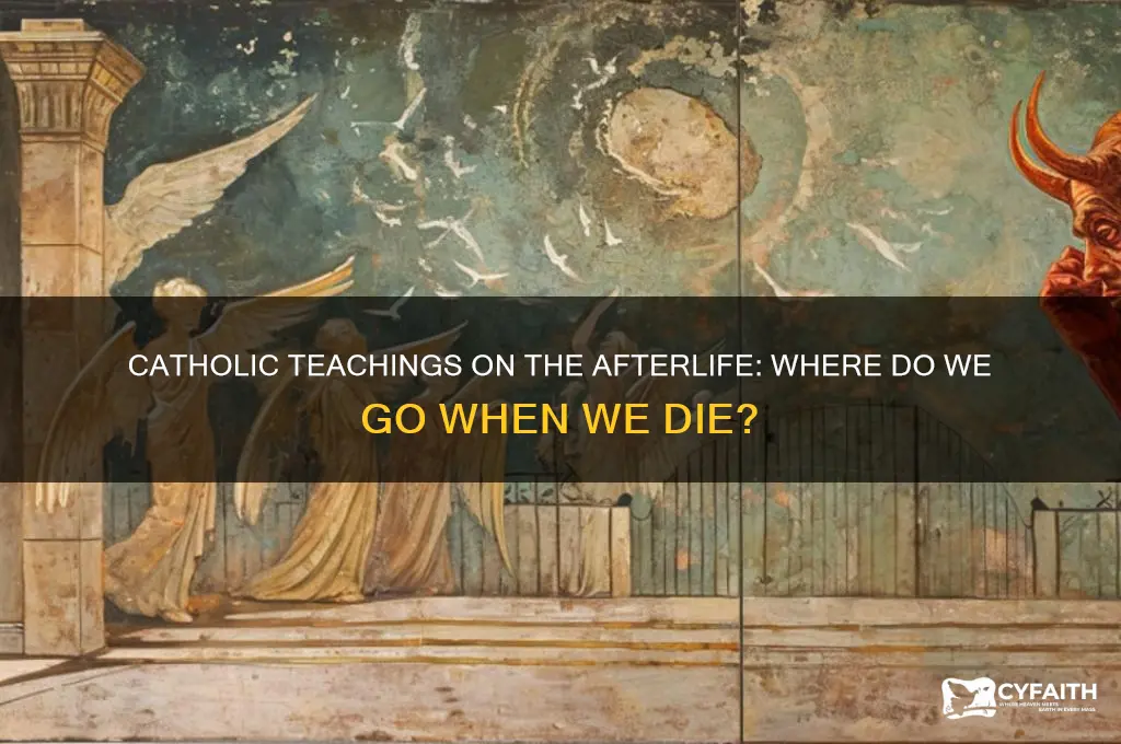where do you go when you die catholic