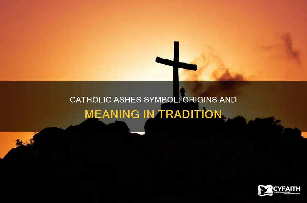 where does ashes as a catholic symbol come from