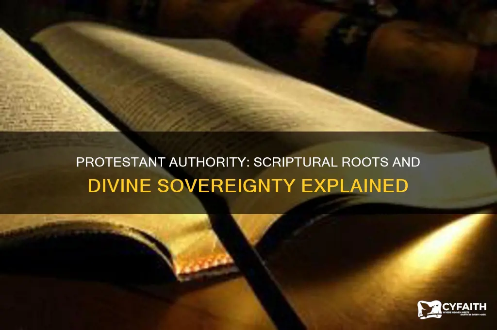 where does authority come from in the protestant perspective
