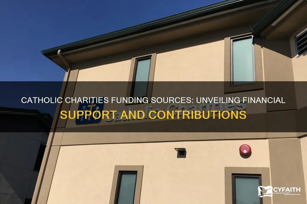 where does catholic charities get its funding