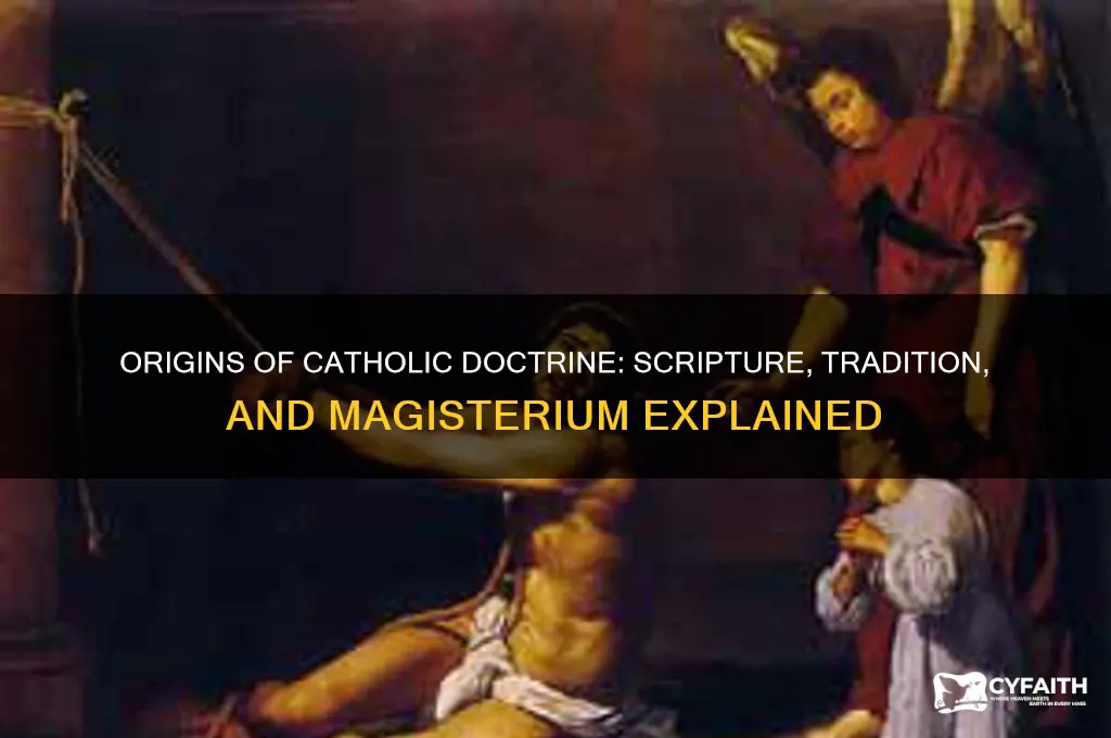 where does catholic doctrine come from