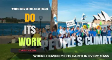 Catholic Earthcare's Global Impact: Where Their Environmental Work Takes Place