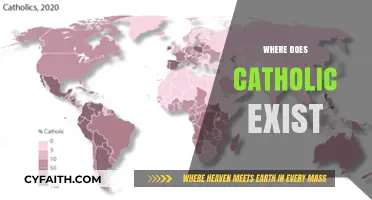 Exploring the Global Presence of Catholicism: Where Does It Exist?