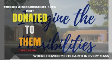 Catholic Extension Society: Tracking Donations to Mission Impact