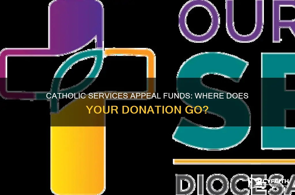 where does catholic services appeal money go