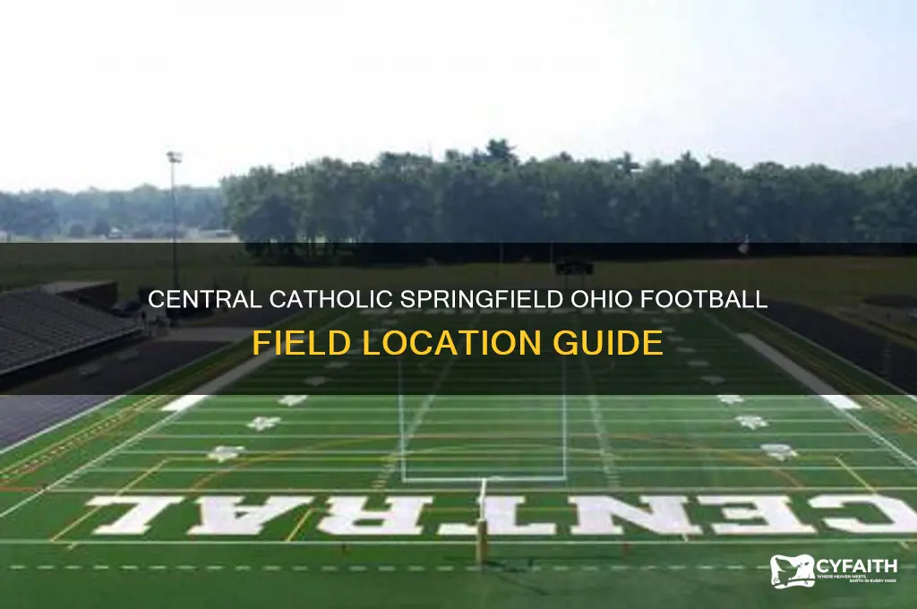 where does central catholic springfield ohio play football