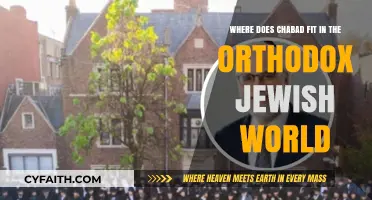 Chabad's Unique Role Within the Orthodox Jewish Community Explored