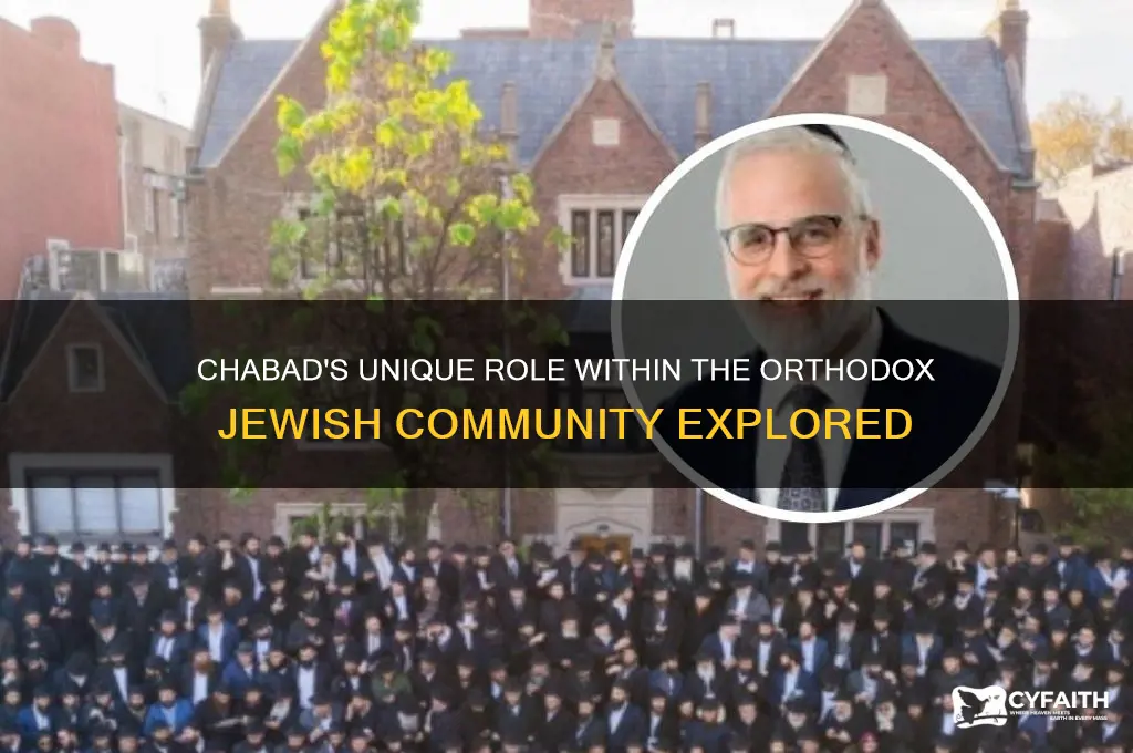 where does chabad fit in the orthodox jewish world