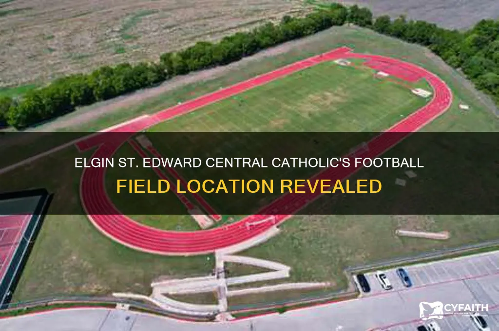 where does elgin st edward central catholic play football