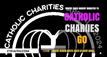 Where Do Catholic Charity Donations Go? A Detailed Breakdown