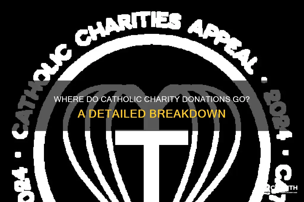 where does moeny donated to catholic chariies go