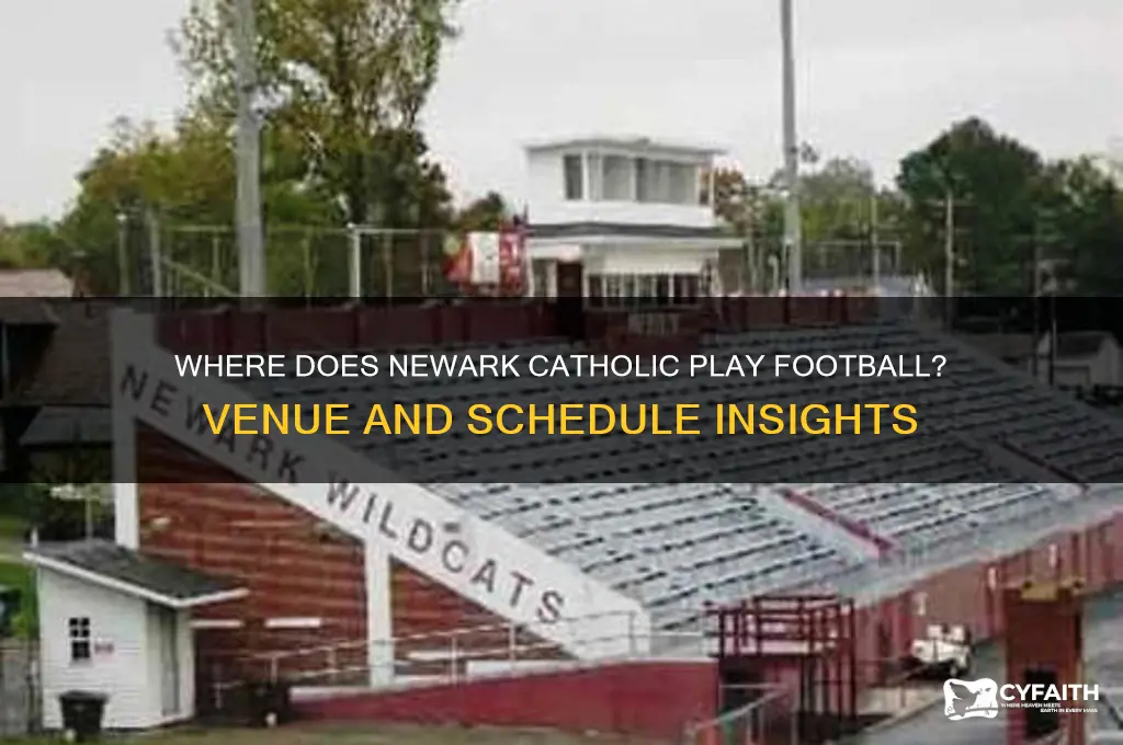 where does newark catholic play football