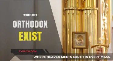 Exploring the Global Presence and Influence of Orthodox Traditions Today