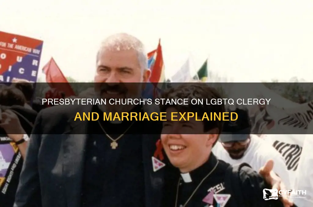where does presbyterian church stand on lgbtq clergy and marriage