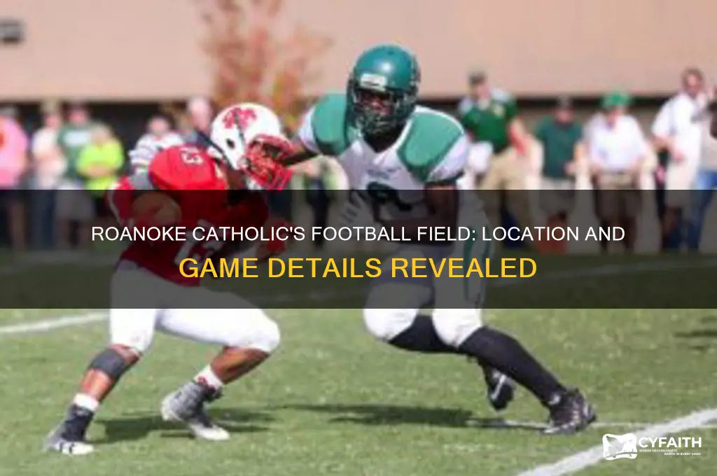 where does roanoke catholic play football