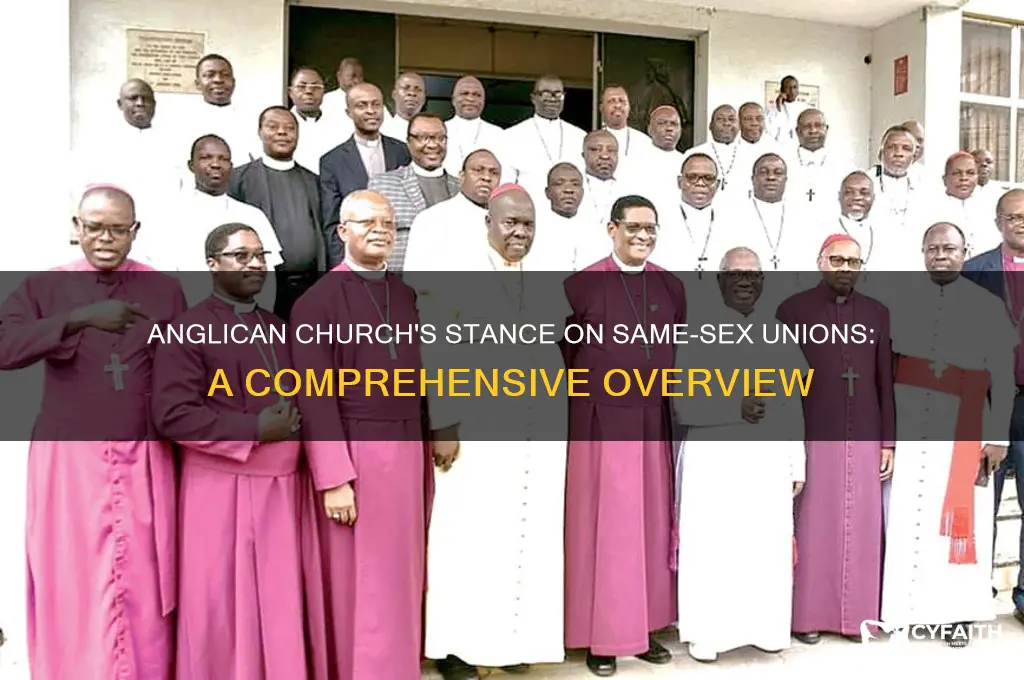 where does the anglican church stand on same sex unions