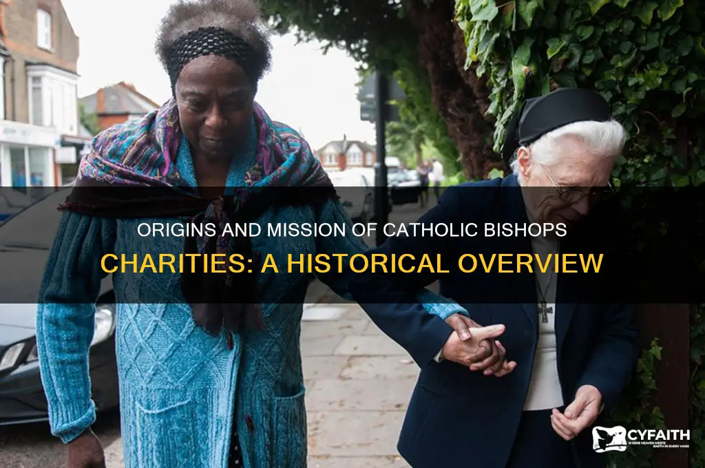 where does the catholic bishops charities come from