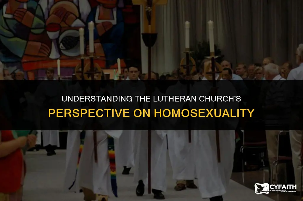 where does the lutheran church stand on homosexuality