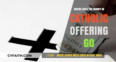 Catholic Offerings: Tracing the Financial Journey of Parish Donations