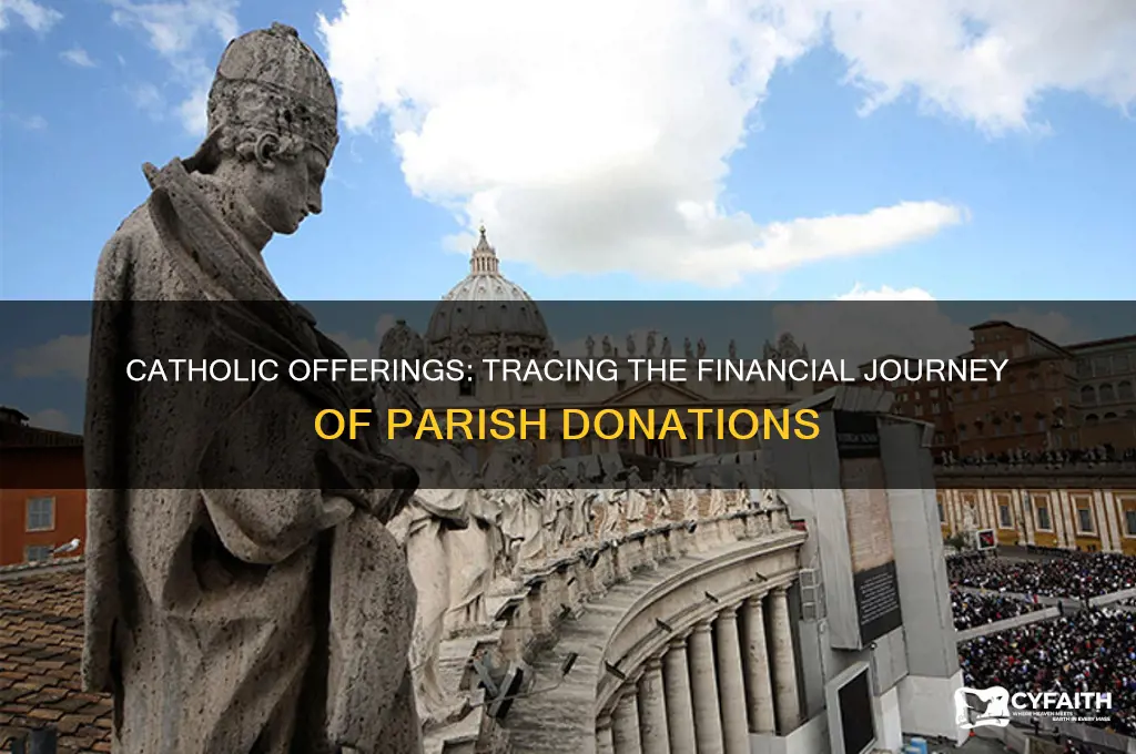 where does the money in catholic offering go