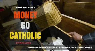 Catholic Tithing Explained: Where Your Contributions Go and Why