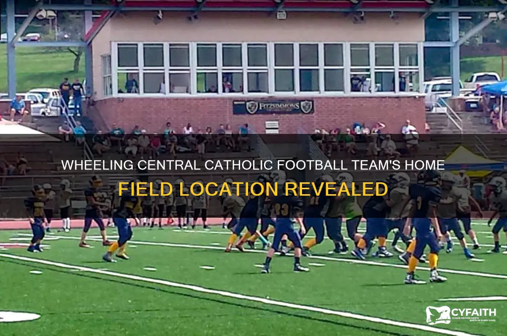 where does wheeling central catholic football team play