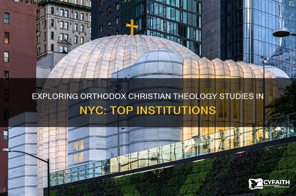 where i can study orthodox christian theology in nyc