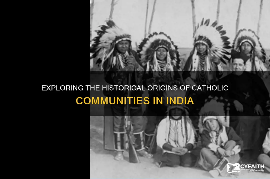 where in india do the catholics come from