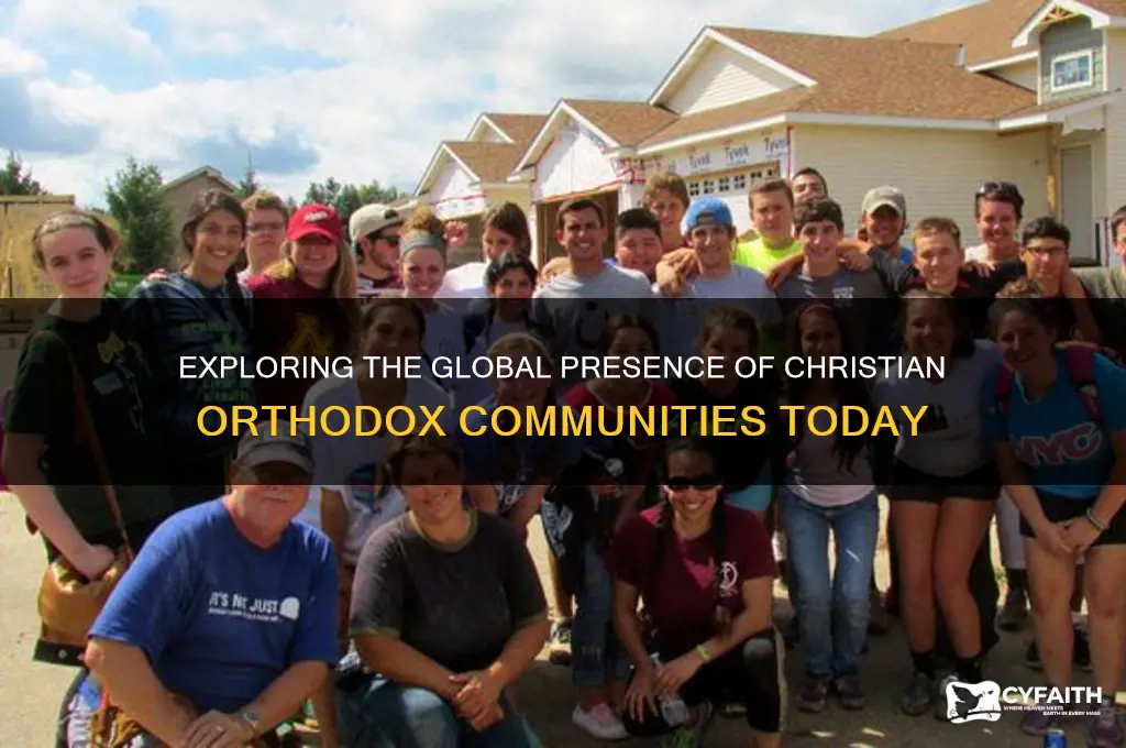 where in the world will you find christian orthodox