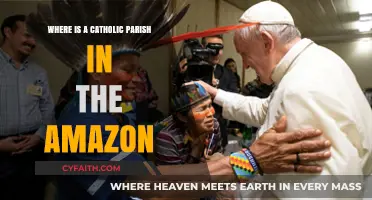 Exploring Faith in the Rainforest: Locating Catholic Parishes in the Amazon