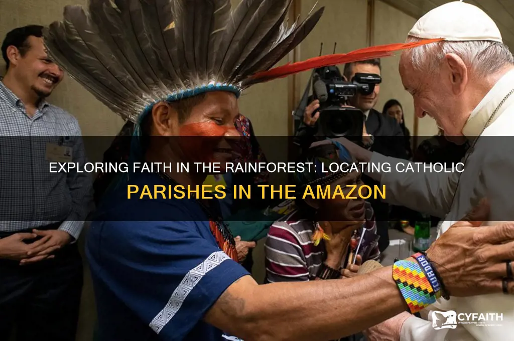 where is a catholic parish in the amazon