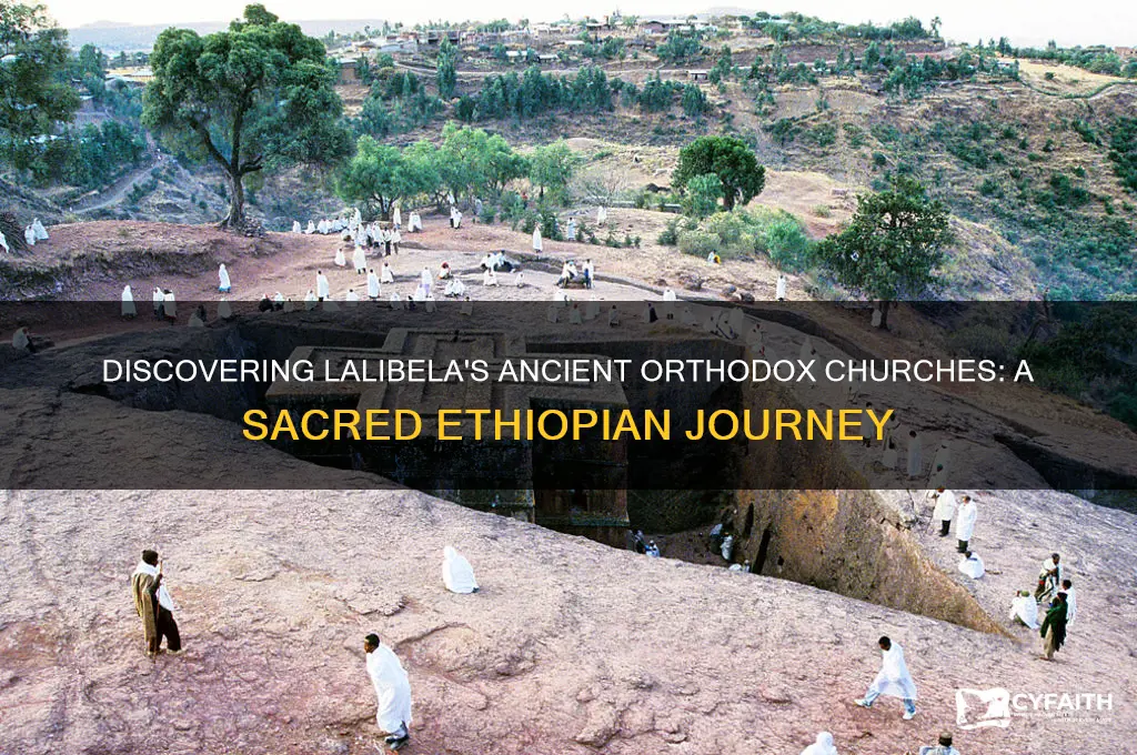 where is ancient orthodox churches in lalibela