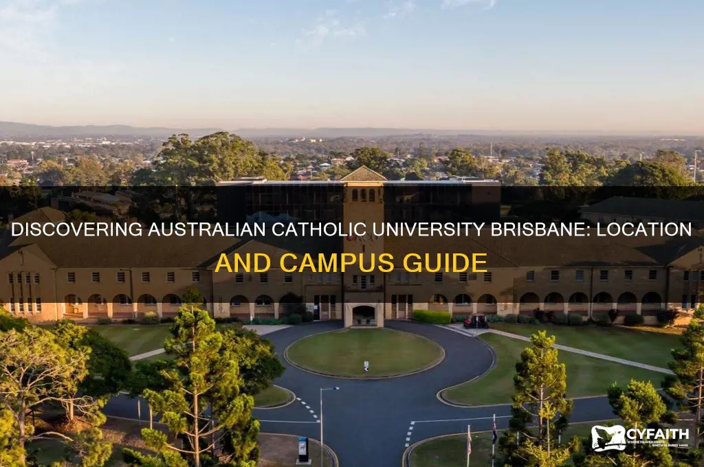 where is australian catholic university brisbane