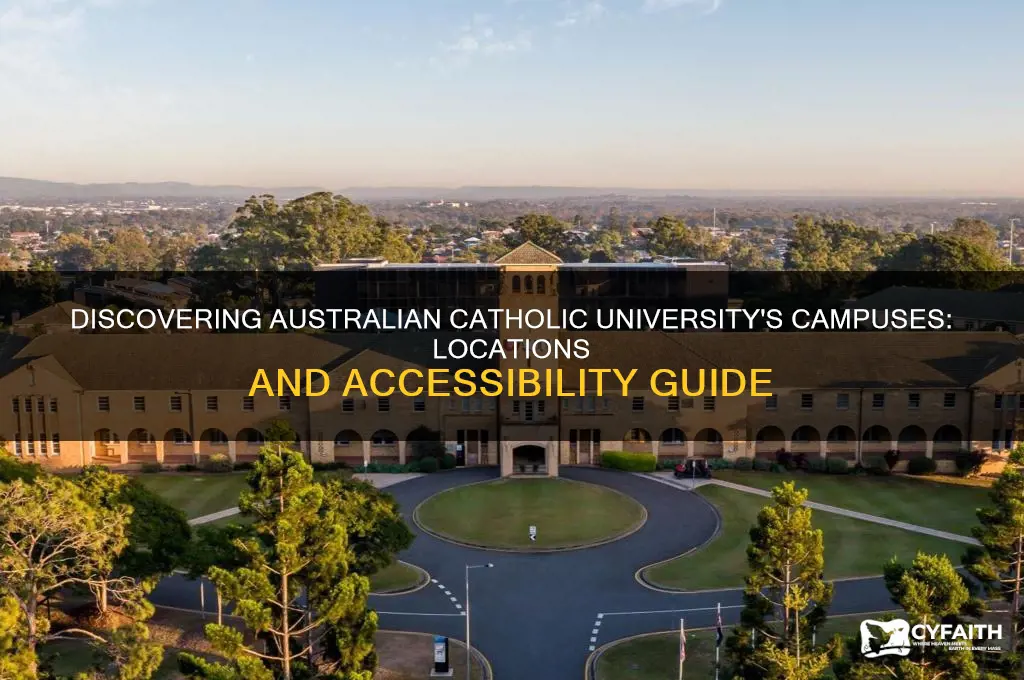 where is australian catholic university