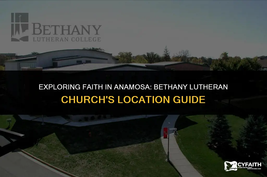 where is bethany lutheran church in anamasa mi