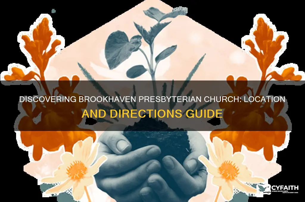 where is brookhaven presbyterian church
