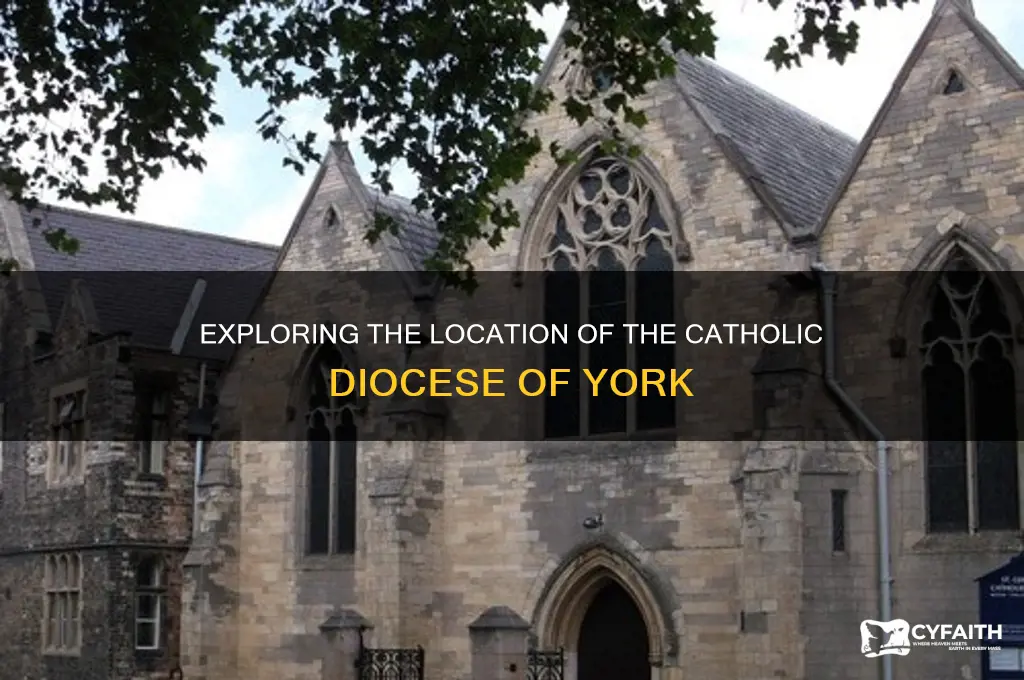 where is catholic diocese of york