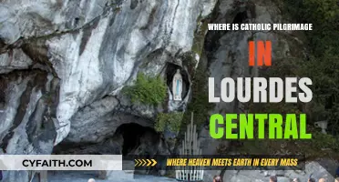 Exploring the Heart of Catholic Pilgrimage in Lourdes, France