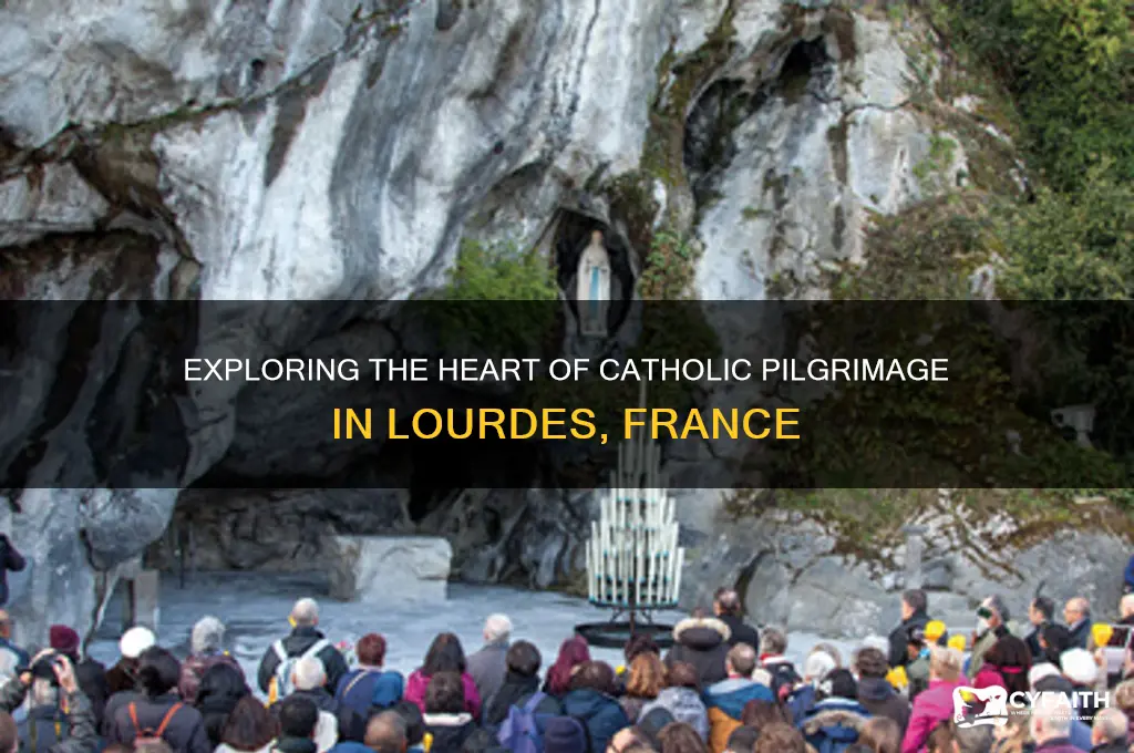 where is catholic pilgrimage in lourdes central
